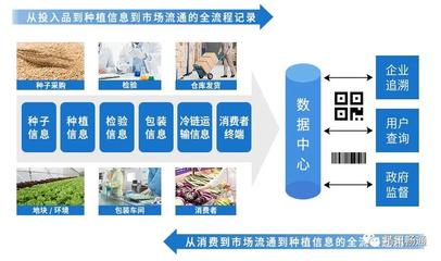 起底生鲜市场,农产品追溯全程监管,让人人都能吃上放心肉